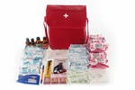Аптечка медицинская первой помощи "Сумка санитарная", фото, цена